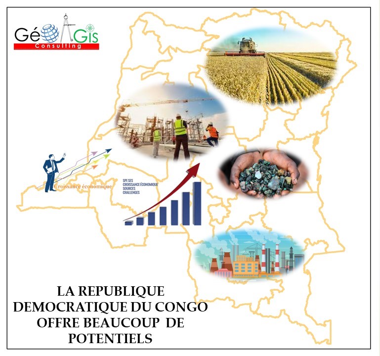 GEOGIS CONSULTING : Votre Partenaire en Géomatique et Plus Encore